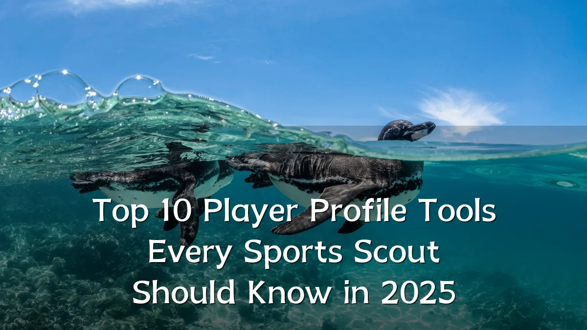 Top 10 Player Profile Tools Every Sports Scout Should Know in 2025