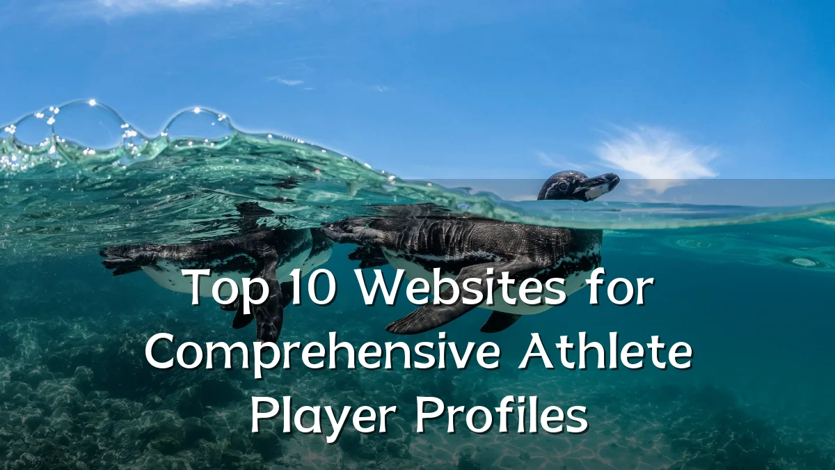 Top 10 Websites for Comprehensive Athlete Player Profiles