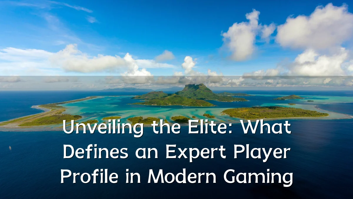 Unveiling the Elite: What Defines an Expert Player Profile in Modern Gaming