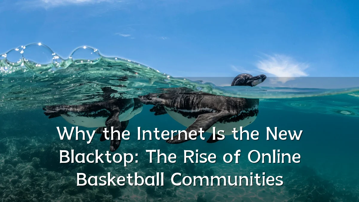 Why the Internet Is the New Blacktop: The Rise of Online Basketball Communities