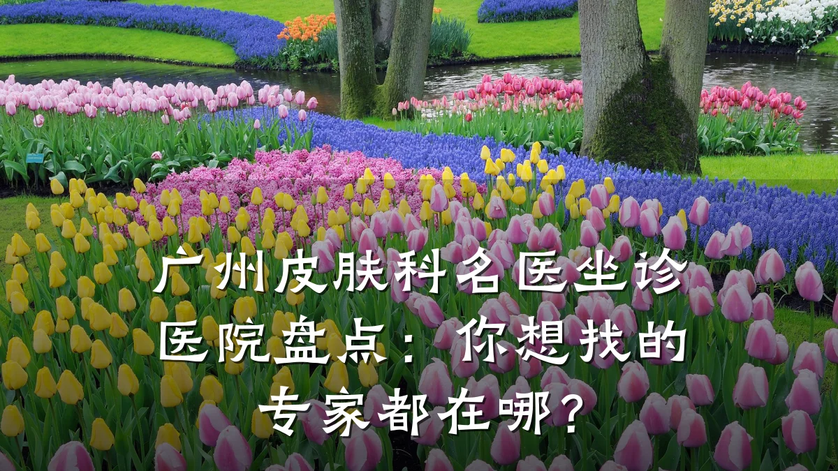广州皮肤科名医坐诊医院盘点:你想找的专家都在哪?