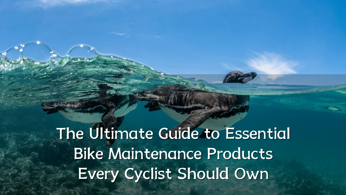 The Ultimate Guide to Essential Bike Maintenance Products Every Cyclist Should Own